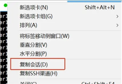 使用复制会话在另一个窗口输入命令